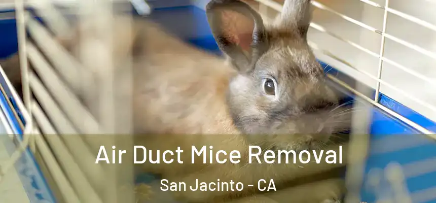 Air Duct Mice Removal San Jacinto - CA