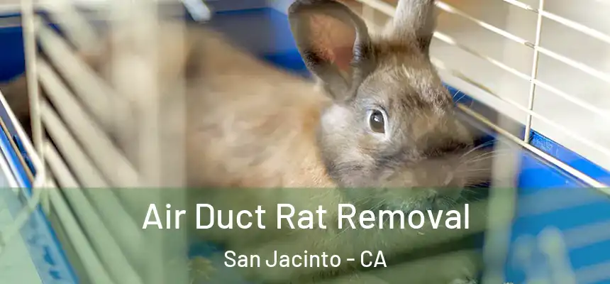 Air Duct Rat Removal San Jacinto - CA