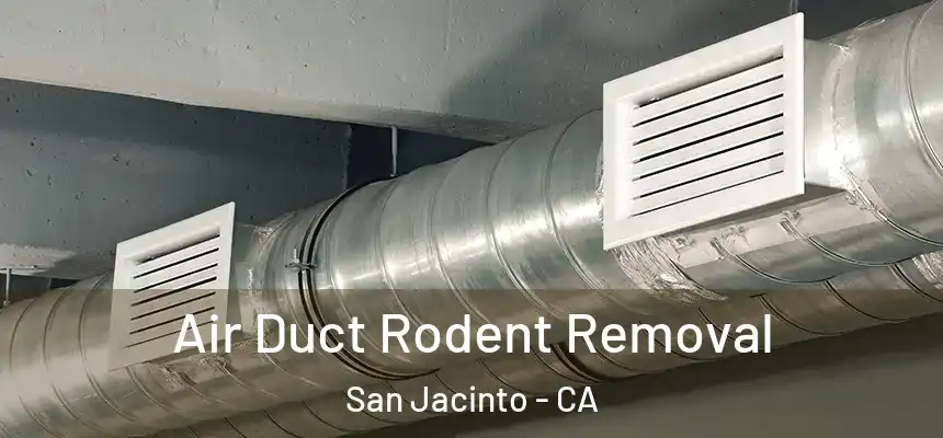 Air Duct Rodent Removal San Jacinto - CA