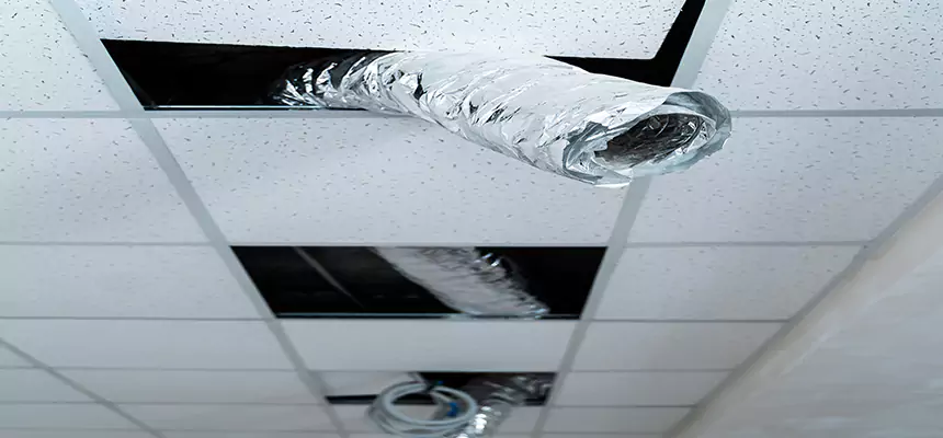 Affordable HVAC Sanitizing After Pest Removal in San Jacinto