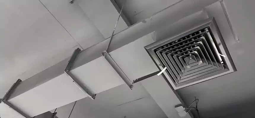 Our Rodent Droppings In Vents Services in San Jacinto, CA