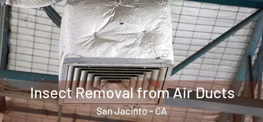  Insect Removal from Air Ducts San Jacinto - CA