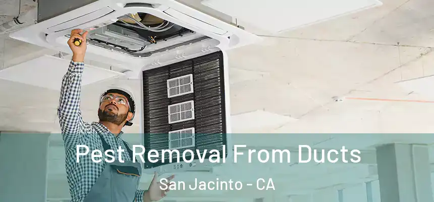 Pest Removal From Ducts San Jacinto - CA