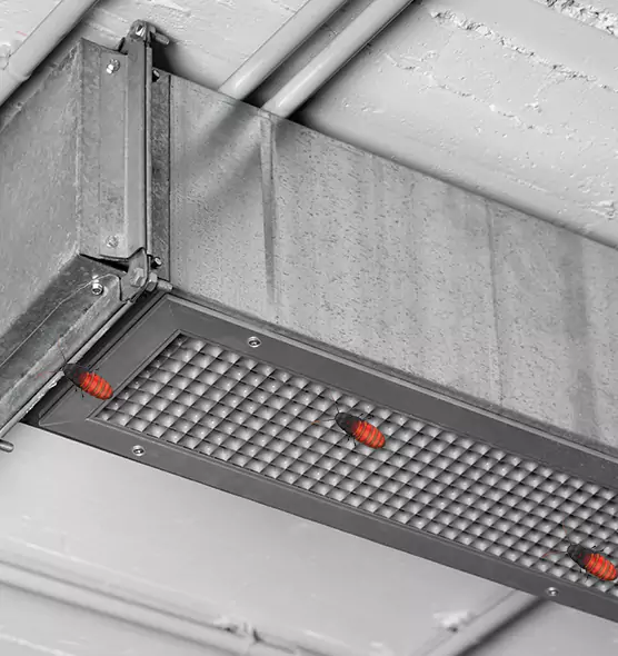 About Air Duct Cockroach Removal in San Jacinto, CA