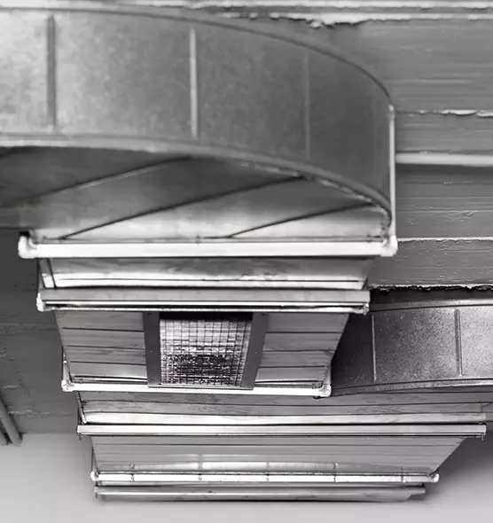 Professional Air Duct Pest Removal in San Jacinto, CA