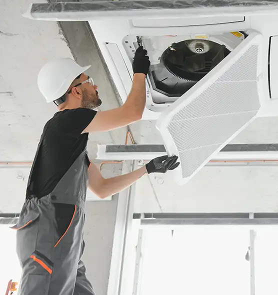 About Air Duct Rodent Removal in San Jacinto, CA