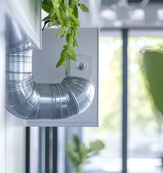 Professional Eco-Safe Dryer Vent Cleaning in San Jacinto, CA