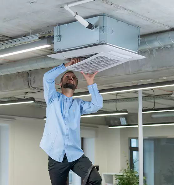 Advanced Rodent Droppings In Vents in San Jacinto, CA