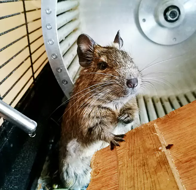 Why Homeowners & Businesses Trust Us San Jacinto, CA