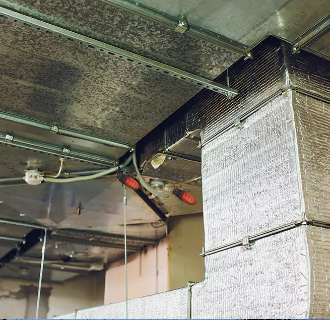 Why Homeowners & Businesses Trust Us San Jacinto, CA?